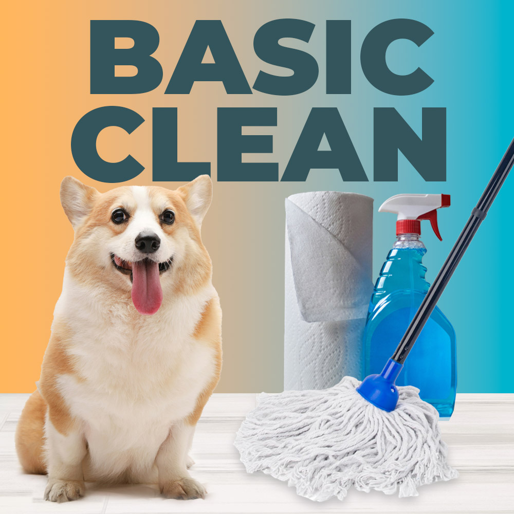 Basic-Clean Basic-Clean