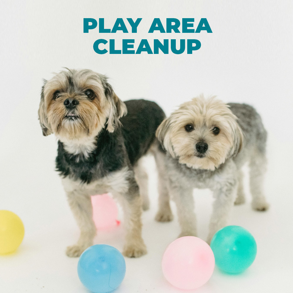 Play-Area-Cleanup Play-Area-Cleanup