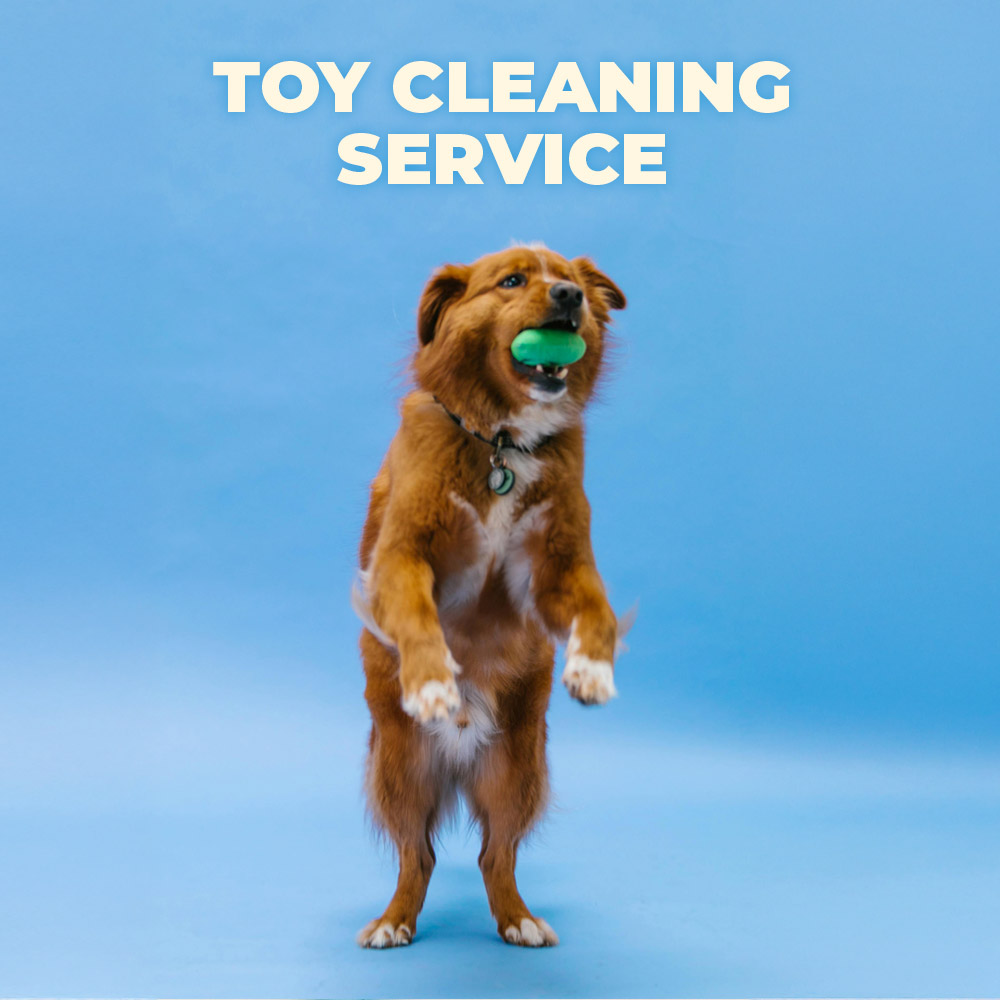 Toy-Clean Toy-Clean
