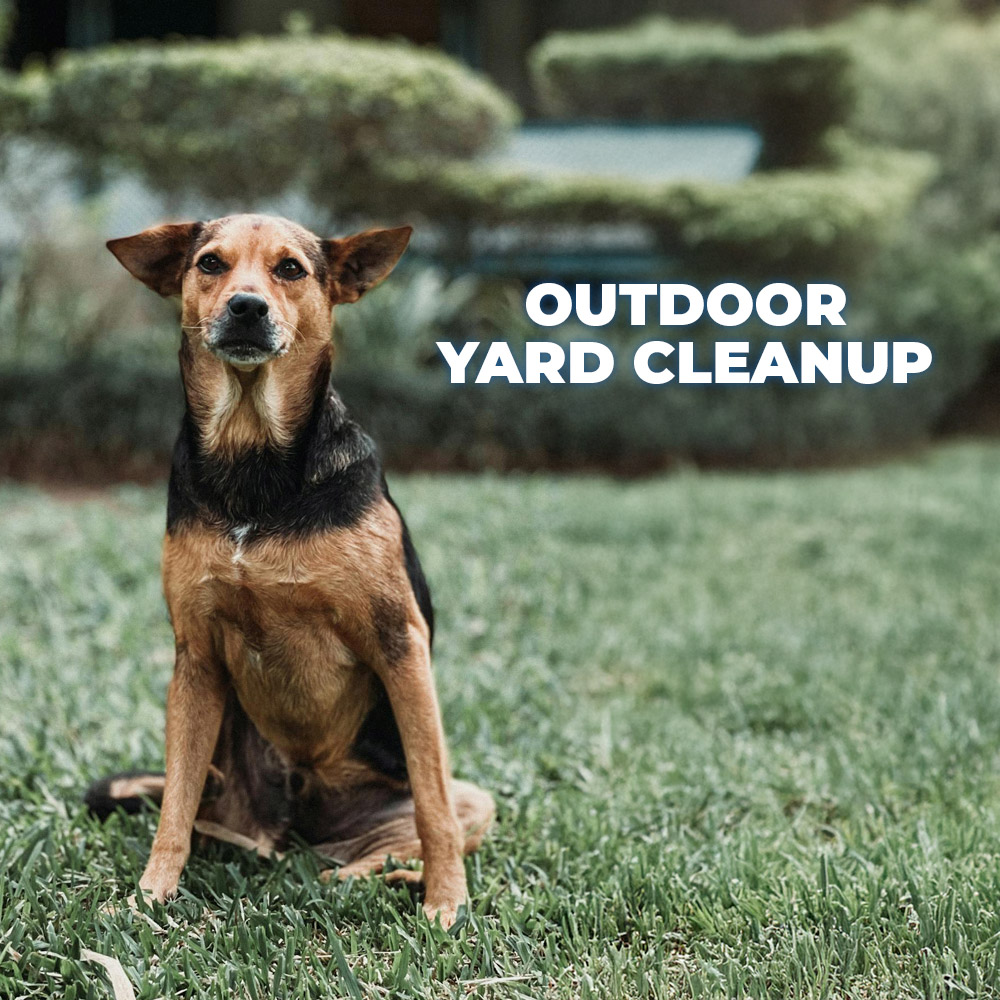 Yard-Clean Yard-Clean